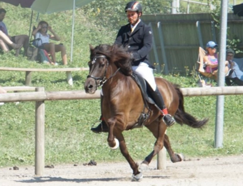 6.-9. August: Schweizermeisterschaft Reithof Neckertal